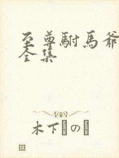 至尊驸马爷短剧全集