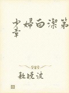 少妇白洁第十七章