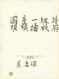 国产一级片内射视频播放麻豆