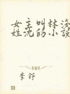 女主叫林浅男主姓沈的小说
