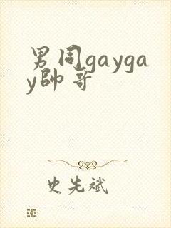 男同gaygay帅哥