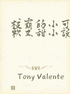 校霸的小可怜又软又甜小说