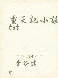 灵天记小说全本txt