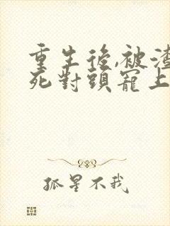 重生后,被渣男死对头宠上天