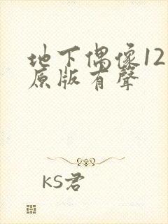 地下偶像12集原版有声
