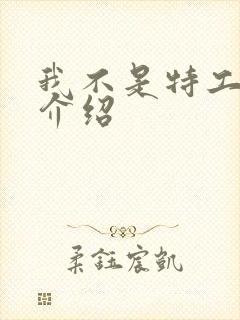 我不是特工剧情介绍