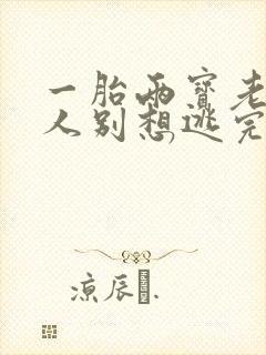 一胎两宝老婆大人别想逃完整版免费阅读