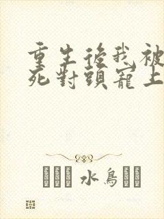 重生后我被渣男死对头宠上天