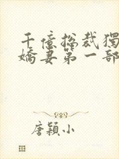 千亿总裁独宠小娇妻第一部全集短剧封面