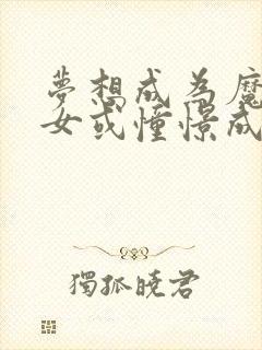 梦想成为魔法少女或憧憬成为魔法少女