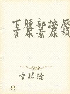 下腹部按压疼痛有尿意尿频