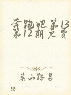 奔跑吧第13季第12期免费观看