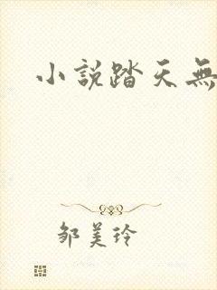 小说踏天无痕