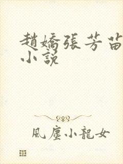 赵娇张芳苗哲的小说