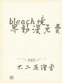 bleach境界动漫免费在线观看全集封面