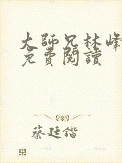 大师兄林峰小说免费阅读