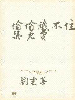 偷偷藏不住40集免费