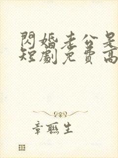 闪婚老公是总裁短剧免费高清