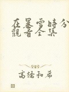 在暴雪时分免费观看全集