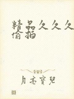 精品久久久久久偷拍