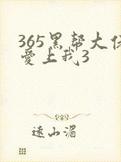 365黑帮大佬爱上我3