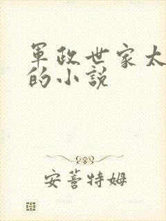 军政世家太子爷的小说