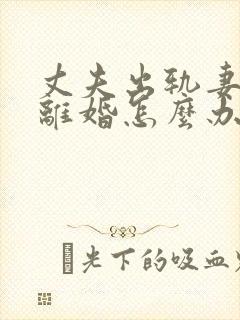 丈夫出轨妻子想离婚怎么办