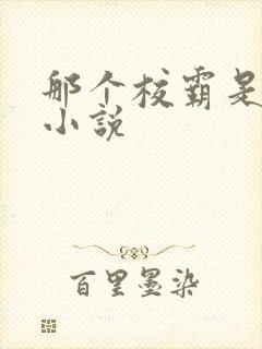 那个校霸是我的小说