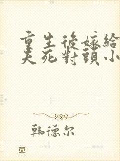 重生后嫁给了前夫死对头小说