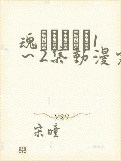 魂インサート1～2集动漫完整版