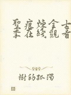 圣痕炼金士第一季在线观看免费