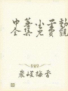 中华小子动画片全集免费观看