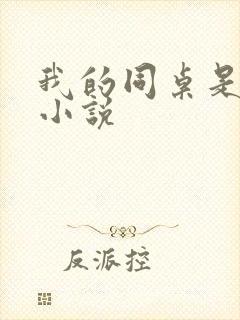 我的同桌是校花小说