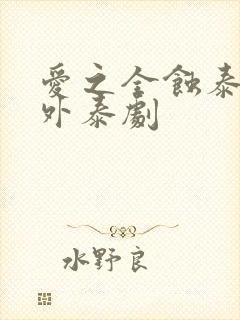 爱之全蚀泰剧番外泰剧