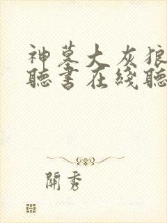 神墓大灰狼免费听书在线听