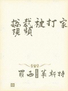 总裁被打家法的视频