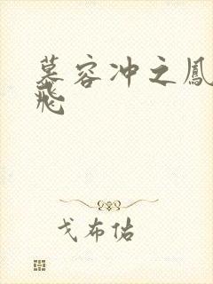 慕容冲之凤凰于飞封面