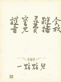 护宝寻踪全集观看免费播放