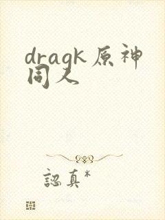 dragk原神同人