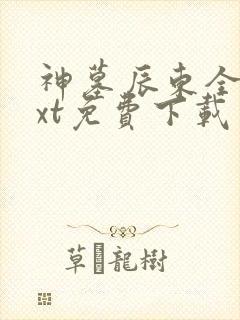 神墓辰东全本txt免费下载