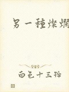 另一种灿烂生活