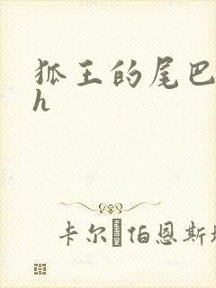 狐王的尾巴高ah