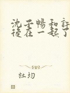 沈子畅和许言最后在一起了吗