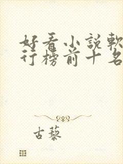 好看小说软件排行榜前十名