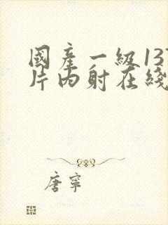 国产一级137片内射在线播放