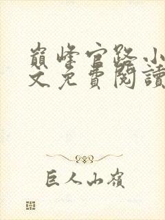 巅峰官路小说全文免费阅读无弹窗