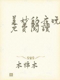 美妙的夜晚小说免费阅读封面