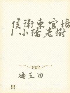 侯卫东官场笔记1 小桥老树