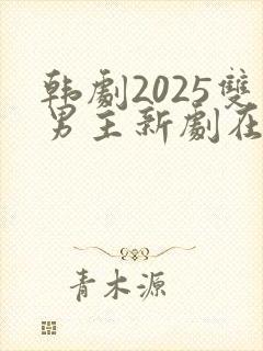 韩剧2025双男主新剧在线观看