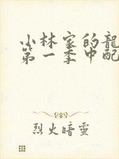 小林家的龙女仆第一季中配版